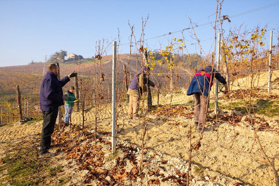 Vino Sociale e Pari Opportunità